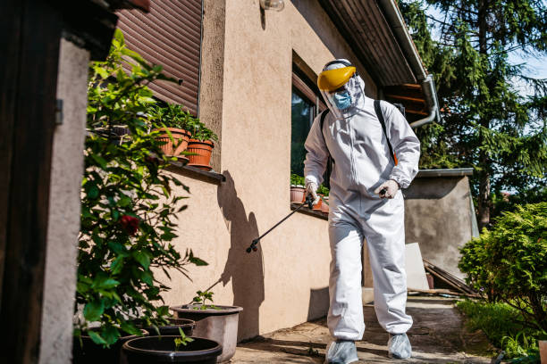 Best Termite Control Services  in Lan, MI