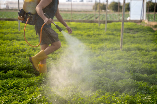 Professional Pest Control in Milan, MI