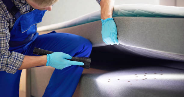 Best Pest Removal Services  in Lan, MI