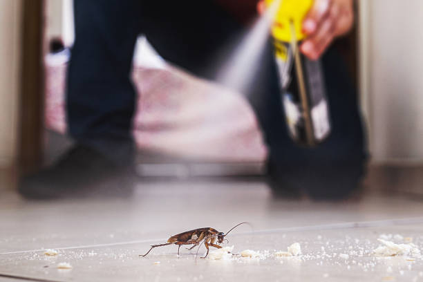 Best Affordable Pest Control Services  in Lan, MI