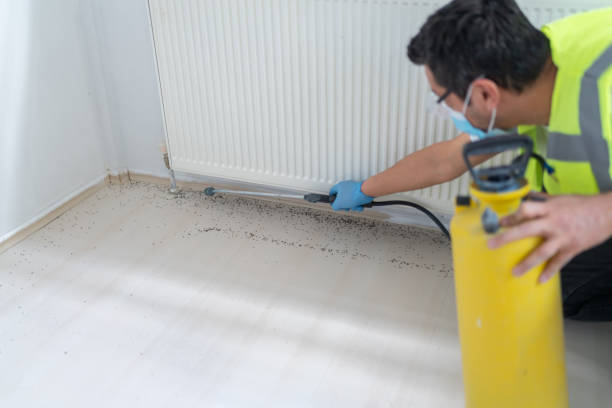 Best Flea Control Services  in Lan, MI