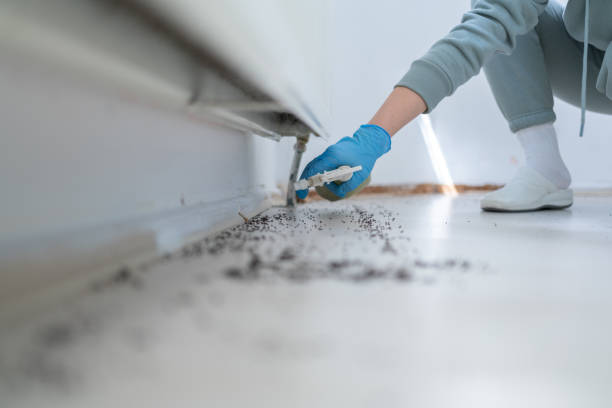 Best Commercial Pest Control Services  in Lan, MI